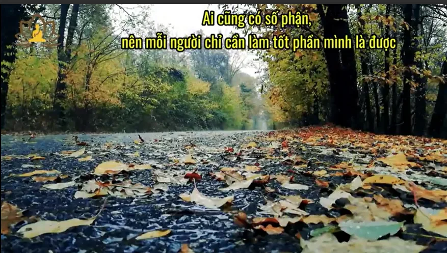 Ai cũng có số phận, nên mỗi người chỉ cần làm tốt phần mình là được