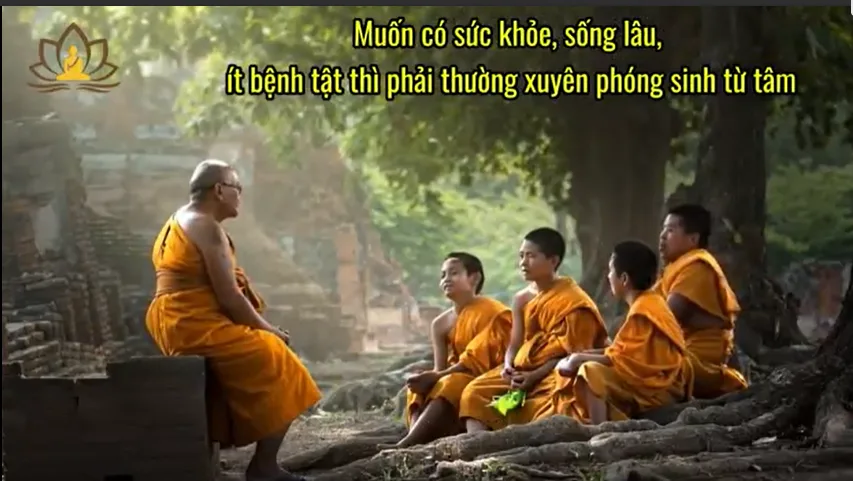 Muốn có sức khỏe, sống lâu, ít bệnh tật thì phải thường xuyên phóng sinh từ tâm