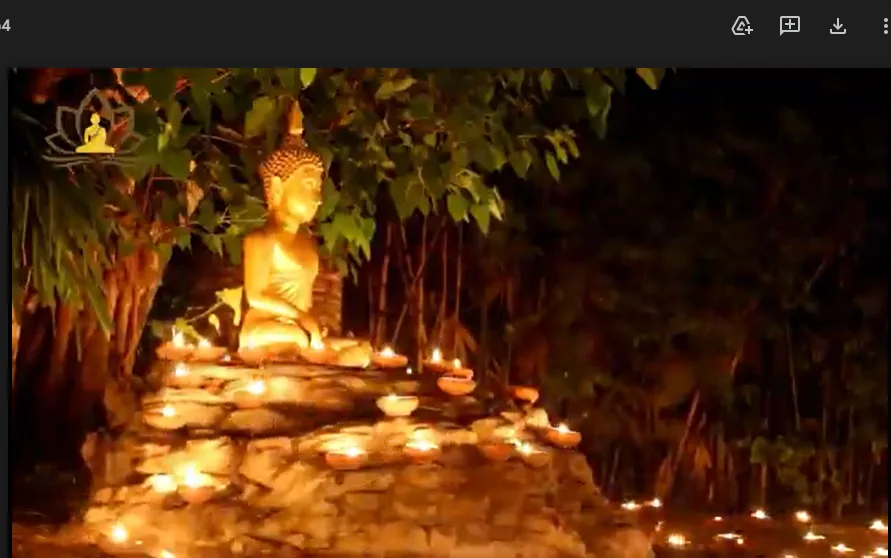 Tu là chuyển nghiệp