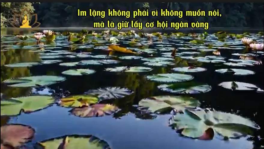 Im lặng không phải vì không muốn nói, mà là giữ lấy cơ hội ngàn vàng