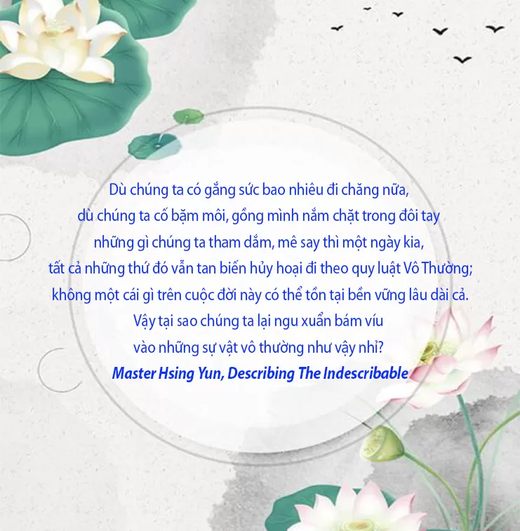 Đừng cố gắng bám víu vào những cái thấy vô thường