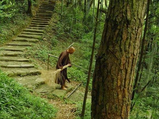 Lao động và công phu