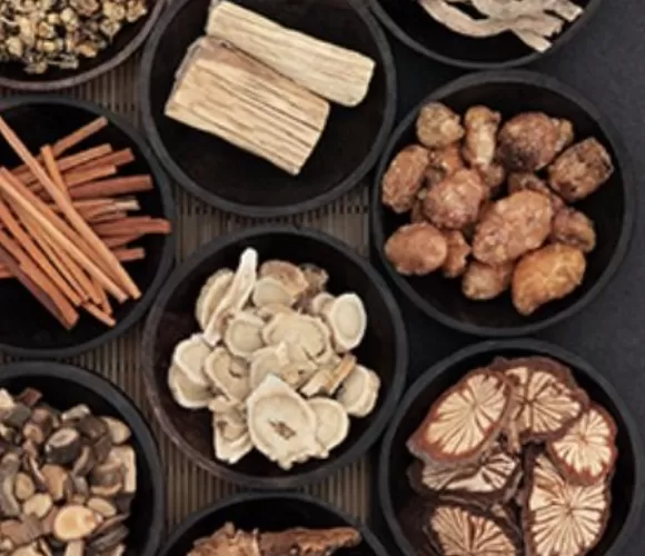 32 bài thuốc trị Tim mạch