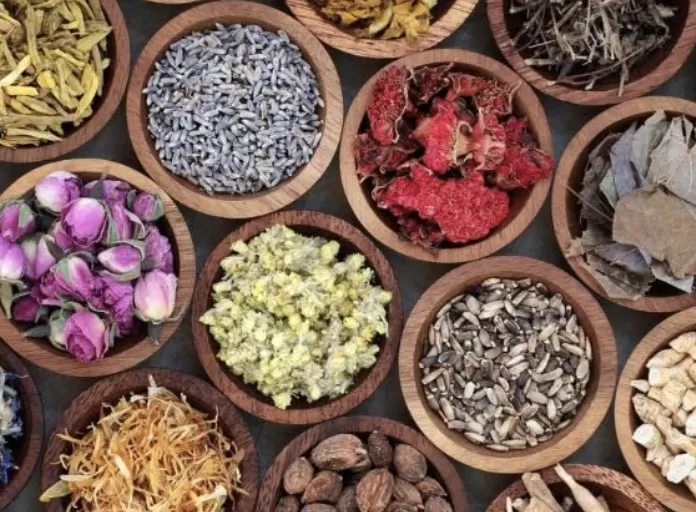 5 Bài thuốc trị sỏi thận