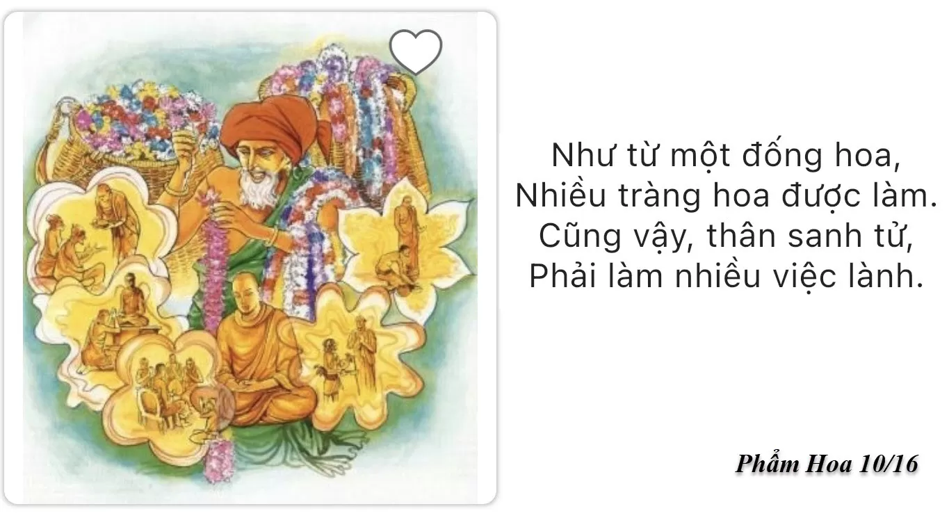 Tích truyện Pháp cú: Phẩm Hoa - 53. Tỳ-xá- khư (Visàkhà)