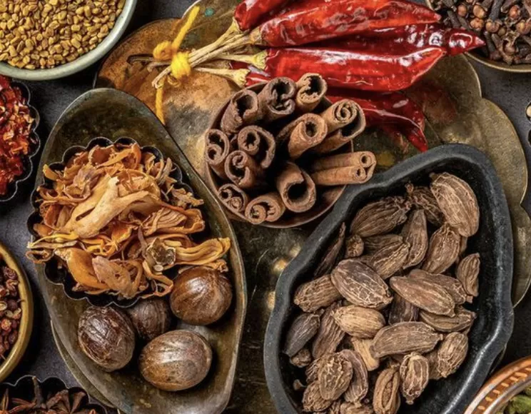 73 Bài thuốc cổ hầu họng