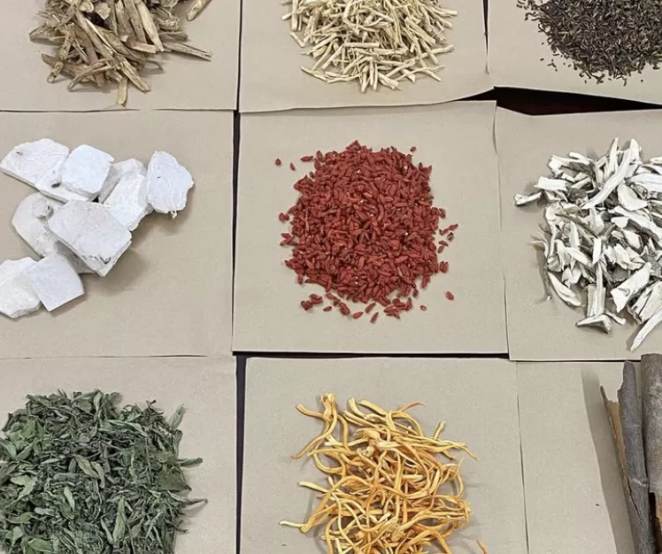 17 Bài thuốc trị bệnh do Rượu