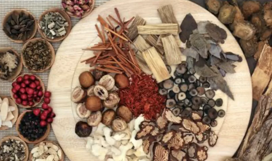 32 bài thuốc trị động kinh