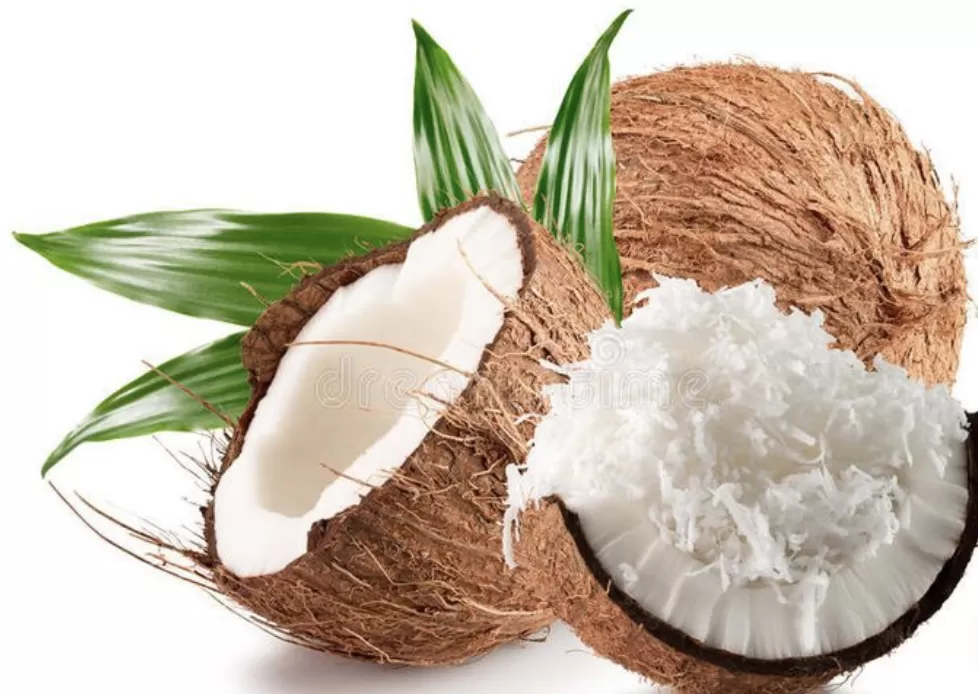 Chỉ là một cội cây: 7. Cái gáo dừa