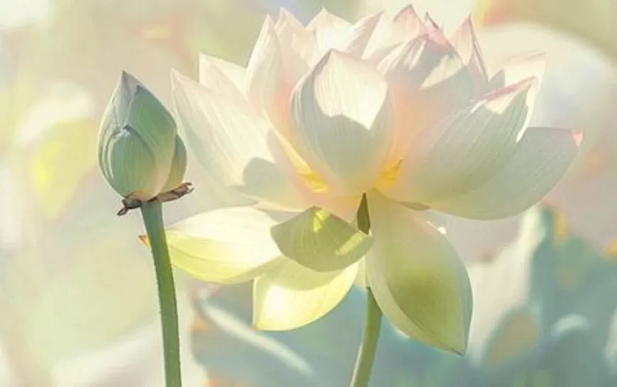 Nhạc: Vũ khúc chư thiên