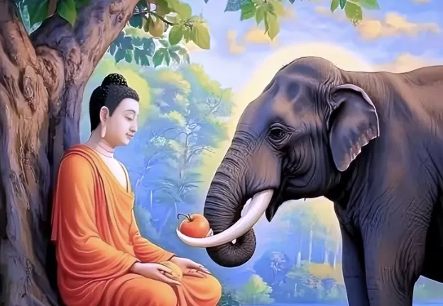 Gieo trồng hạnh phúc: 34. Từ quán