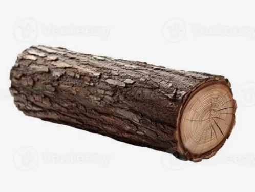 Chỉ là một cội cây: 43. Khúc gỗ