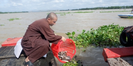 Phật giáo Bến Tre phóng sanh vì môi trường