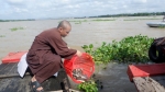 Phật giáo Bến Tre phóng sanh vì môi trường