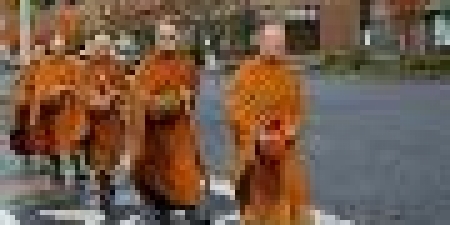 Những vị tu sĩ Phật giáo đặc biệt tại White Salmon