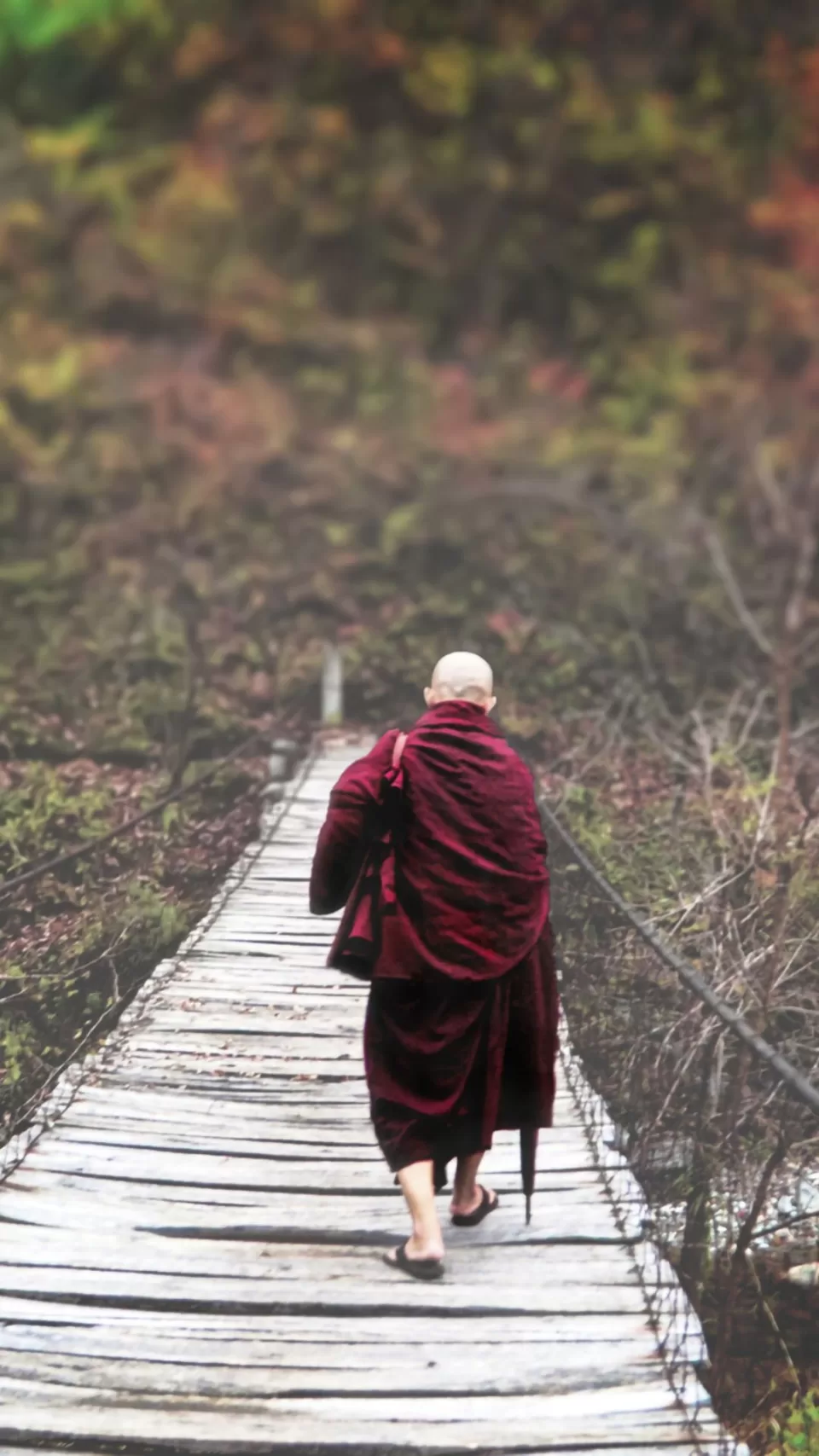 Hãy chia sẻ và yêu thương