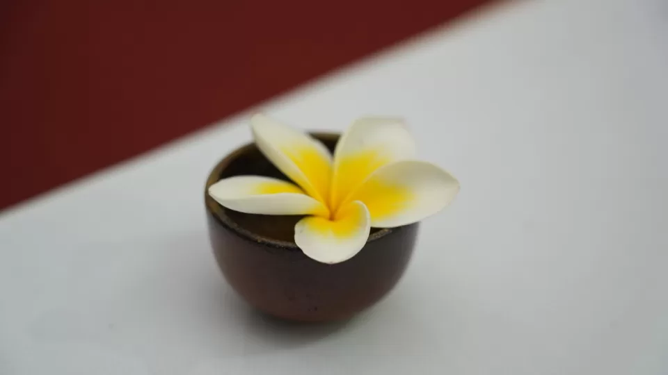 Trà đàm “Phật giáo và bản sắc văn hóa Phật giáo Việt Nam” – Định hướng sáng tác nghệ thuật Phật giáo “Sáng đạo trong đời”